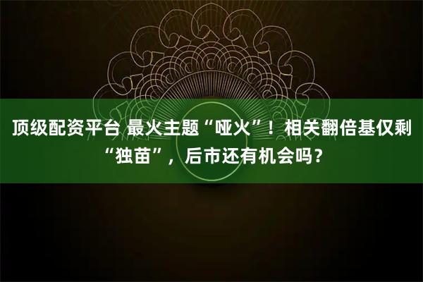 顶级配资平台 最火主题“哑火”！相关翻倍基仅剩“独苗”，后市还有机会吗？