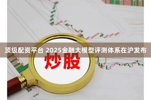 顶级配资平台 2025金融大模型评测体系在沪发布