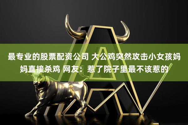 最专业的股票配资公司 大公鸡突然攻击小女孩妈妈直接杀鸡 网友：惹了院子里最不该惹的